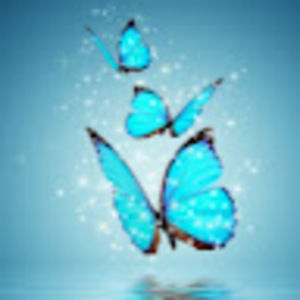 Meet your Posher, Miranda